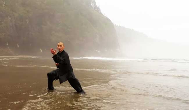 Chen Style Tai Chi